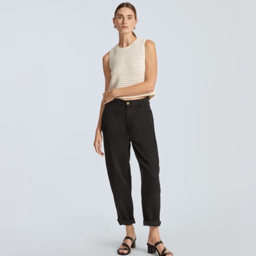 NWT Everlane Relaxed Chino 00